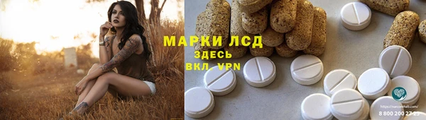 ГАЛЛЮЦИНОГЕННЫЕ ГРИБЫ Вязьма