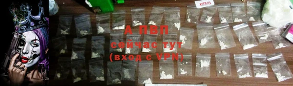 ГАЛЛЮЦИНОГЕННЫЕ ГРИБЫ Вязьма