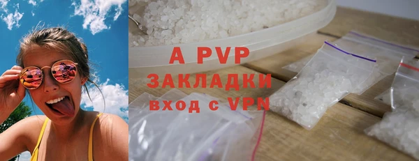 сатива Вяземский