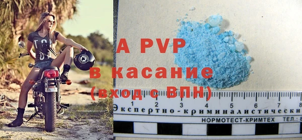 сатива Вяземский