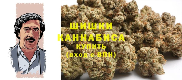 ГАЛЛЮЦИНОГЕННЫЕ ГРИБЫ Вязьма