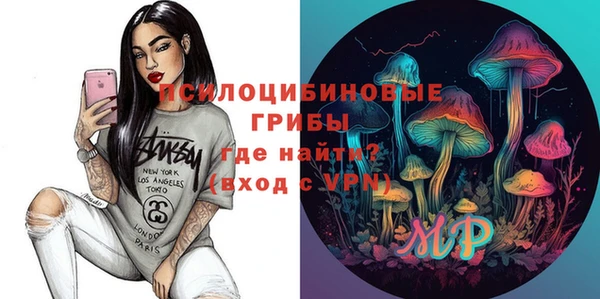 ГАЛЛЮЦИНОГЕННЫЕ ГРИБЫ Вязьма