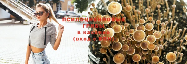 MESCALINE Елизово