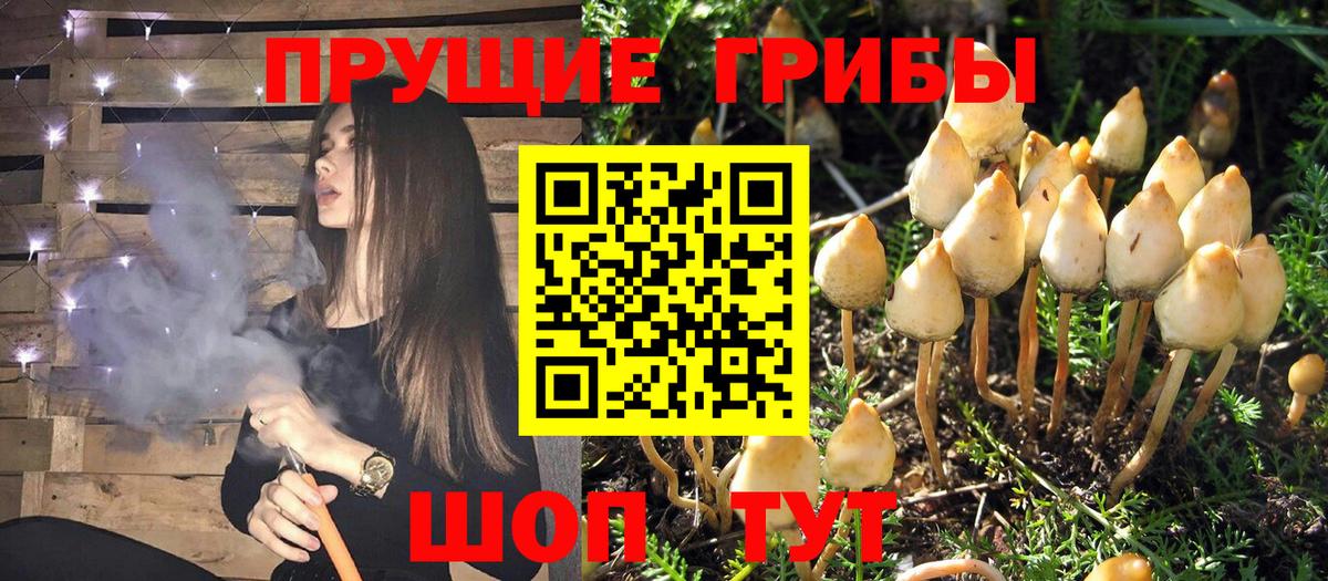 сколько стоит  Вход с VPN  Мариинск  Псилоцибиновые грибы Magic Shrooms 