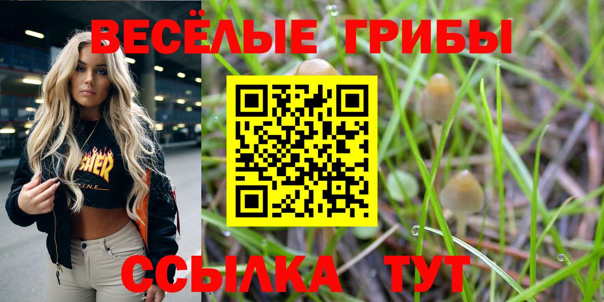 Псилоцибиновые грибы GOLDEN TEACHER Мариинск